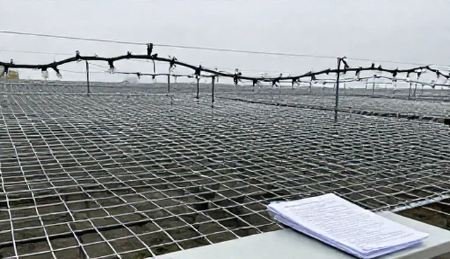 客户沟通中的两种做法比较，如何选择更优方案